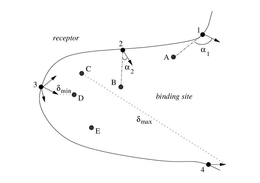 selection of receptor vectors using an angle criterion