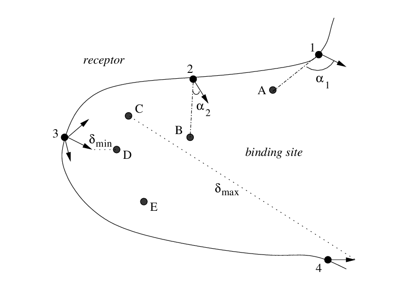 selection of receptor vectors using an angle criterion
